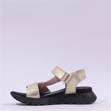 Hispanitas Ambar T-Bar Velcro Sandal - Gold Black
